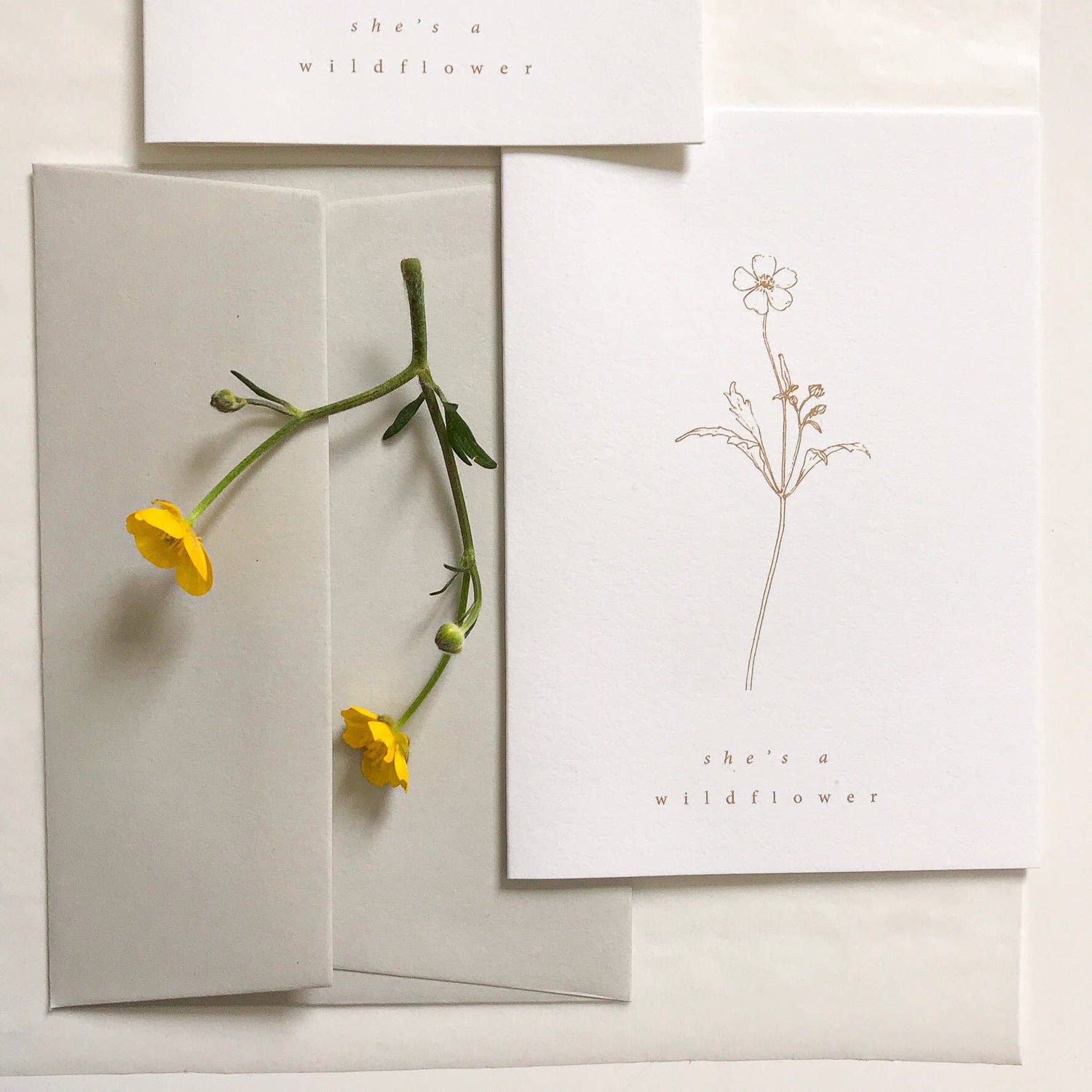 'She's a Wildflower' Botanical card