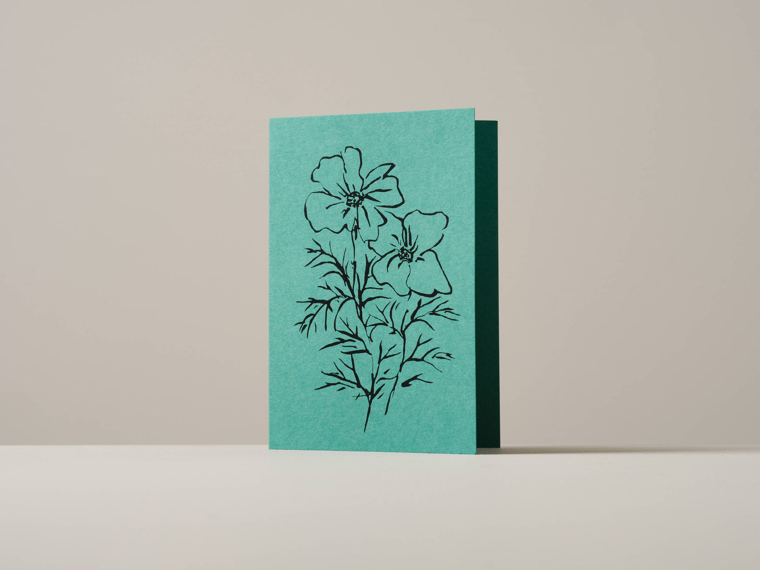 Cosmos Greeting Card