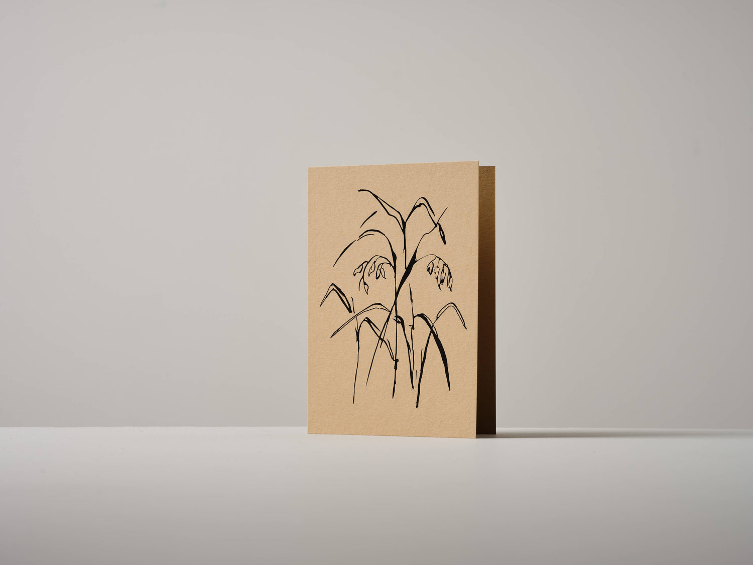 Quaking Grass Greeting Card