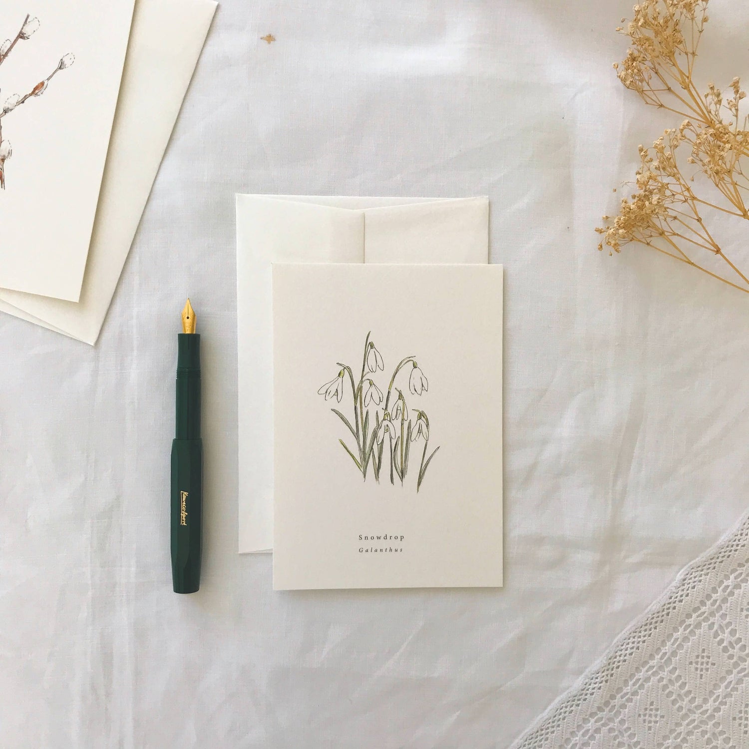 Snowdrop Botanical Illustration Card