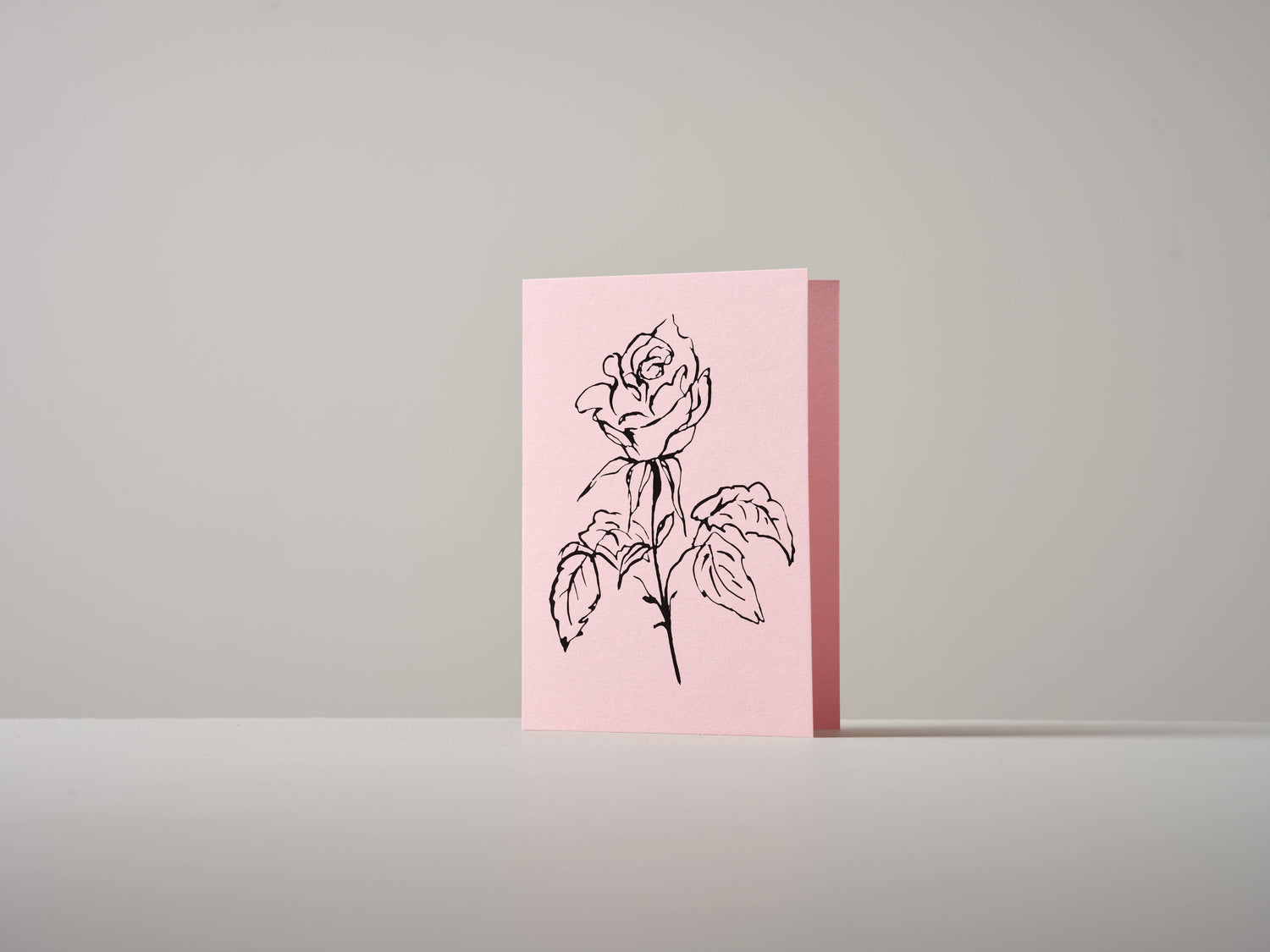 Rose Greeting Card | Valentines 2025